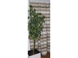 Cortina de Puerta estilo Jacquard Crudo-Multicolor 155 x 220 cm